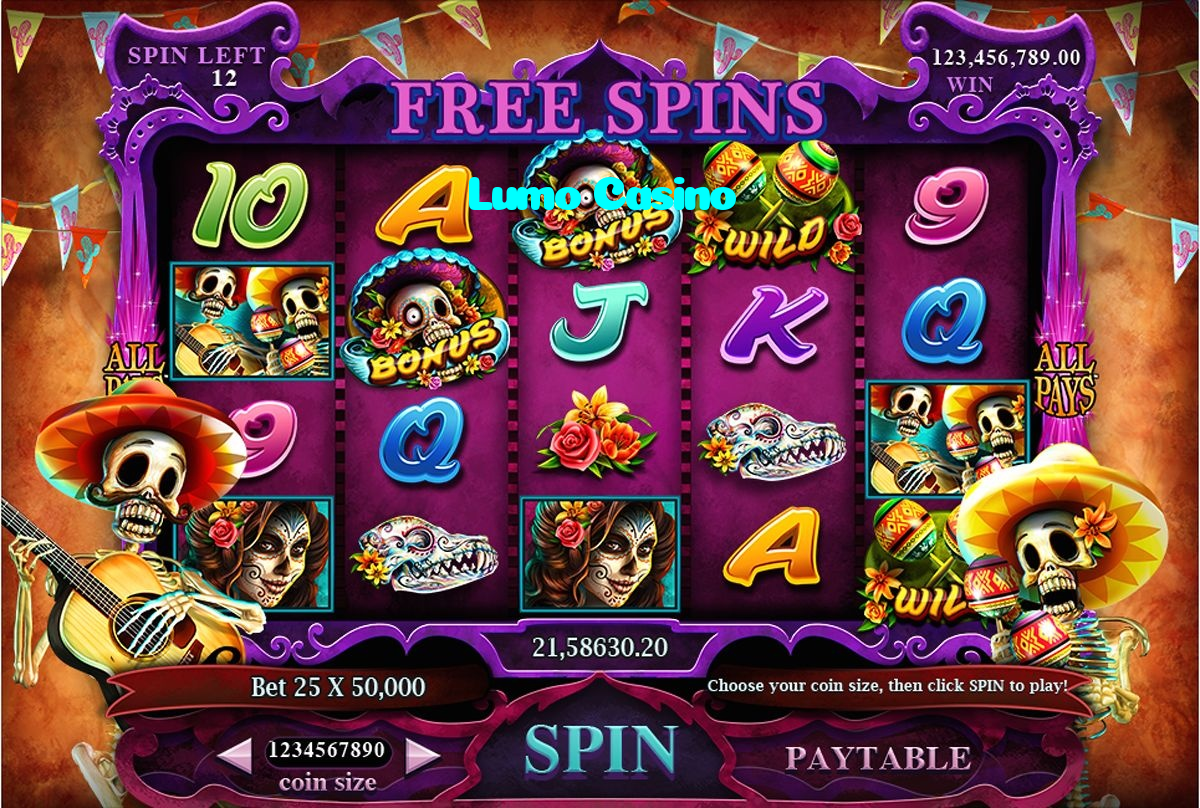 available types of Lumo Casino bet including pre-match live express and system bets